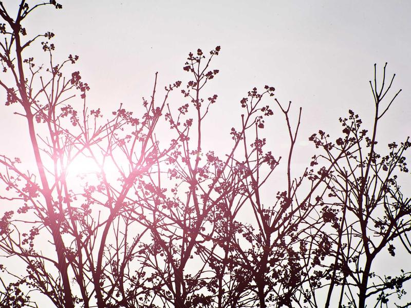 sudoku ios app screenshot 2